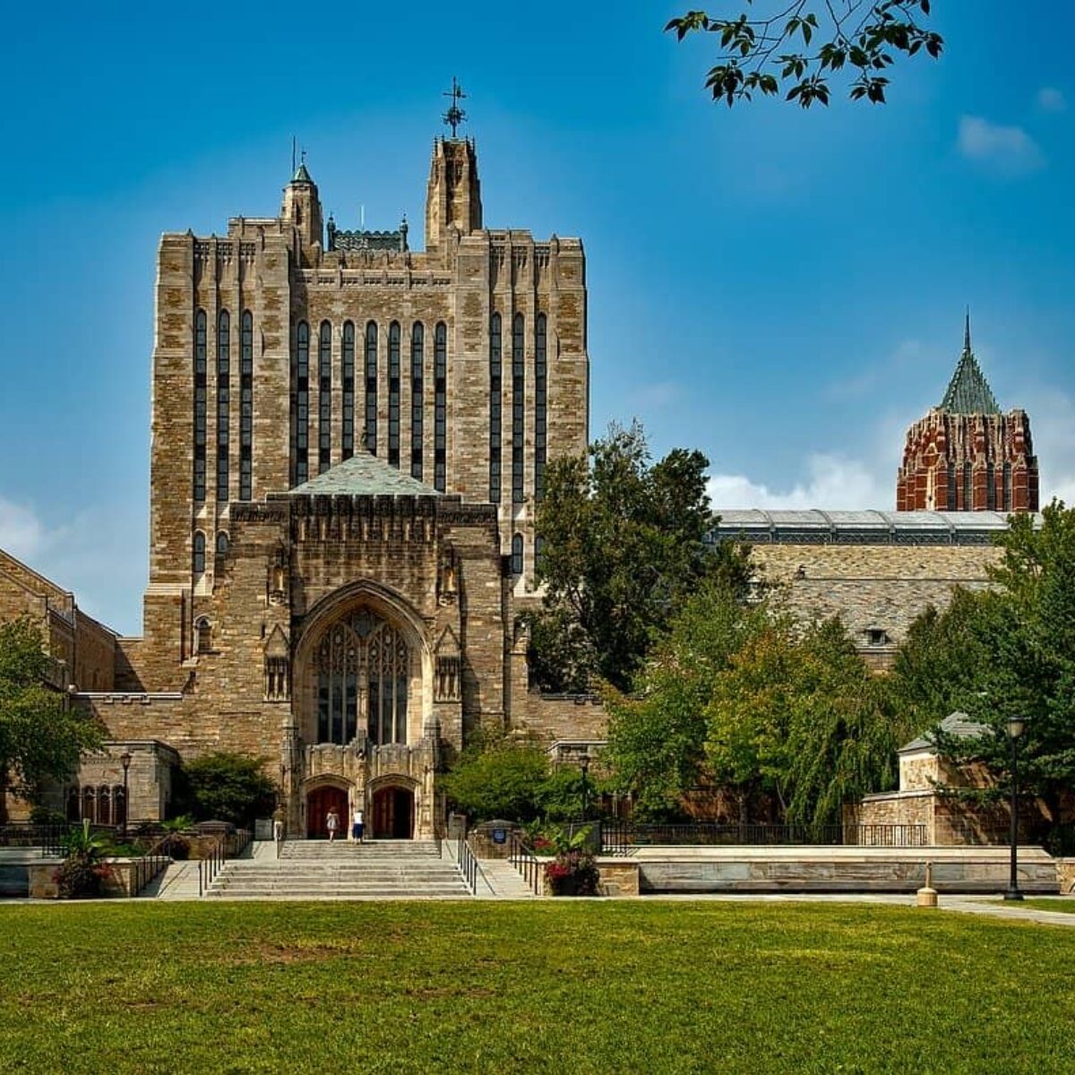 6 Stunning Facts About the Yale University - Univariety Blog