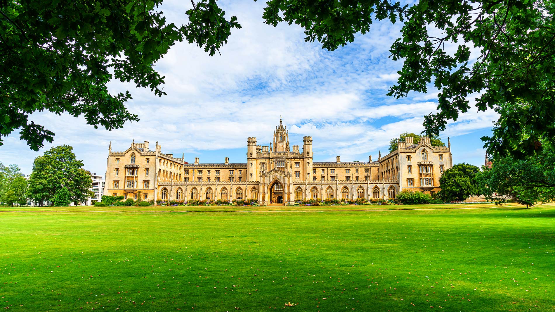 Your Guide To Cambridge Curriculum: Is It The Right Board For Your ...