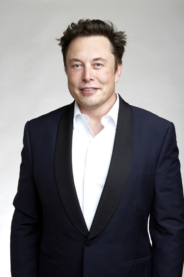 Elon Musk Gap Year