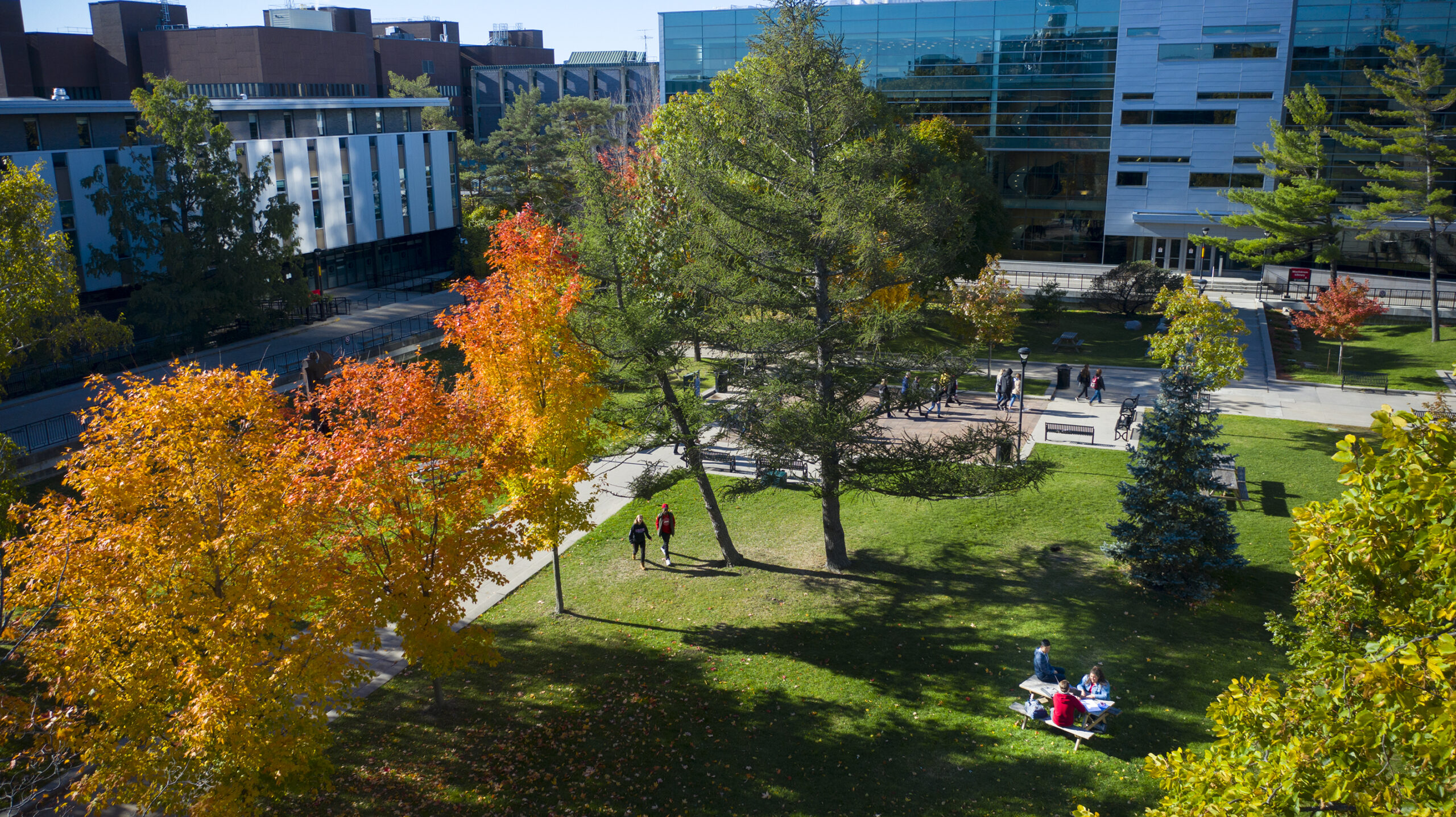 Carleton University Main